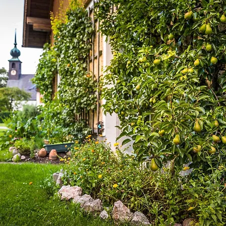 Apartment Seidenwebergut Anif Bei Salzburg Niederalm